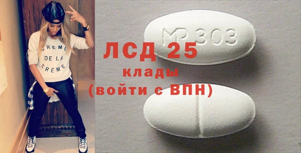 индика Алексин