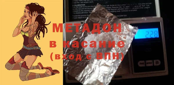 индика Алексин