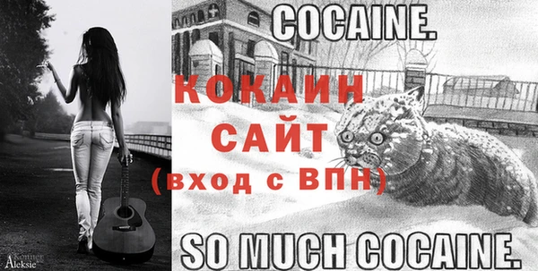 индика Алексин