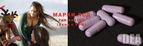индика Алексин