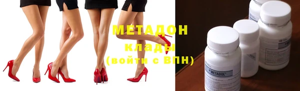 индика Алексин