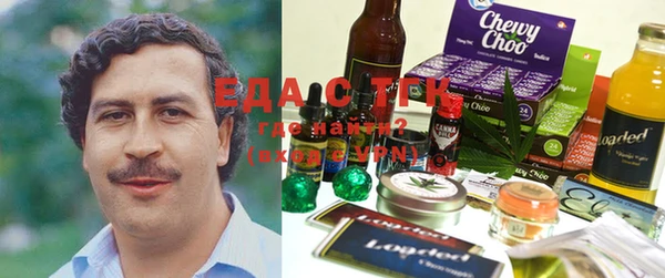 индика Алексин