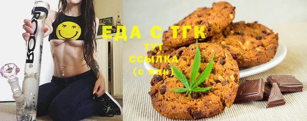 индика Алексин