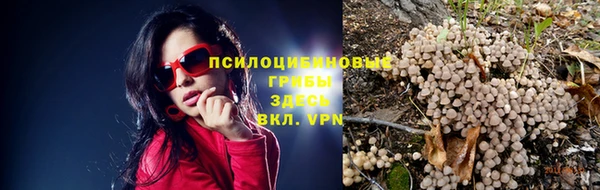 трава Алексеевка
