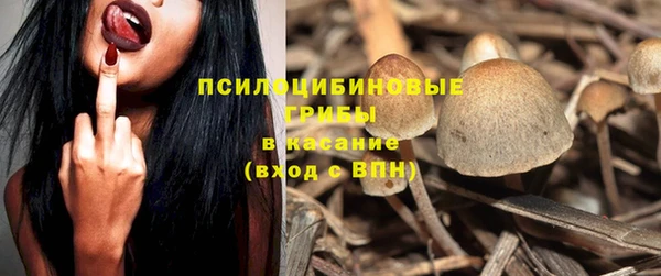 дурь Алзамай