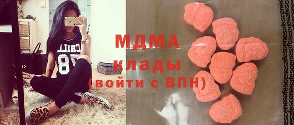 индика Алексин