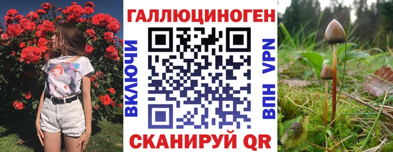 мориарти телеграм  Богучар  Галлюциногенные грибы прущие грибы 